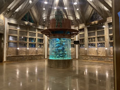 Strange Aquarium Building Polished Concrete Floor Project IA Solutions